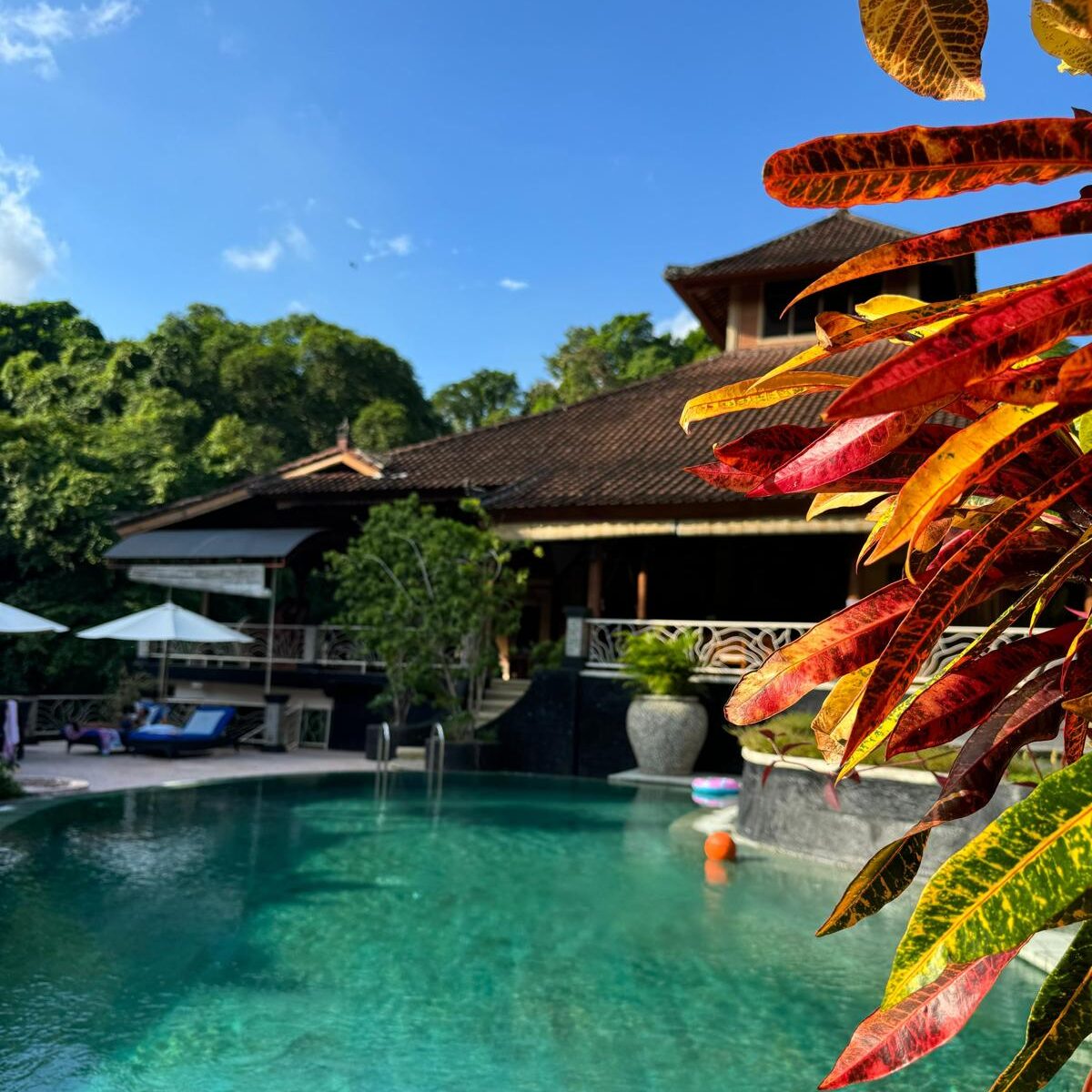 PHOTO 2024 09 11 14 48 58 10 e1767008427645