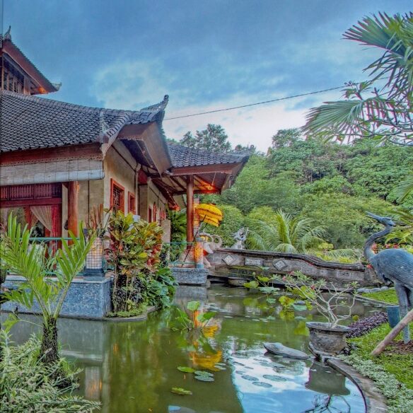 foto1 e1767013041721